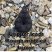 Standard Gripper Leads